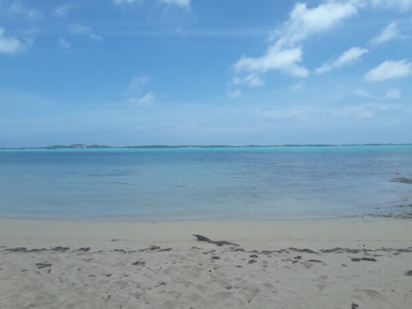 Coral breeze beach water