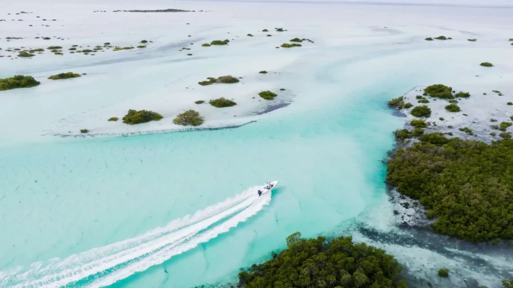 berry islands beaches 1