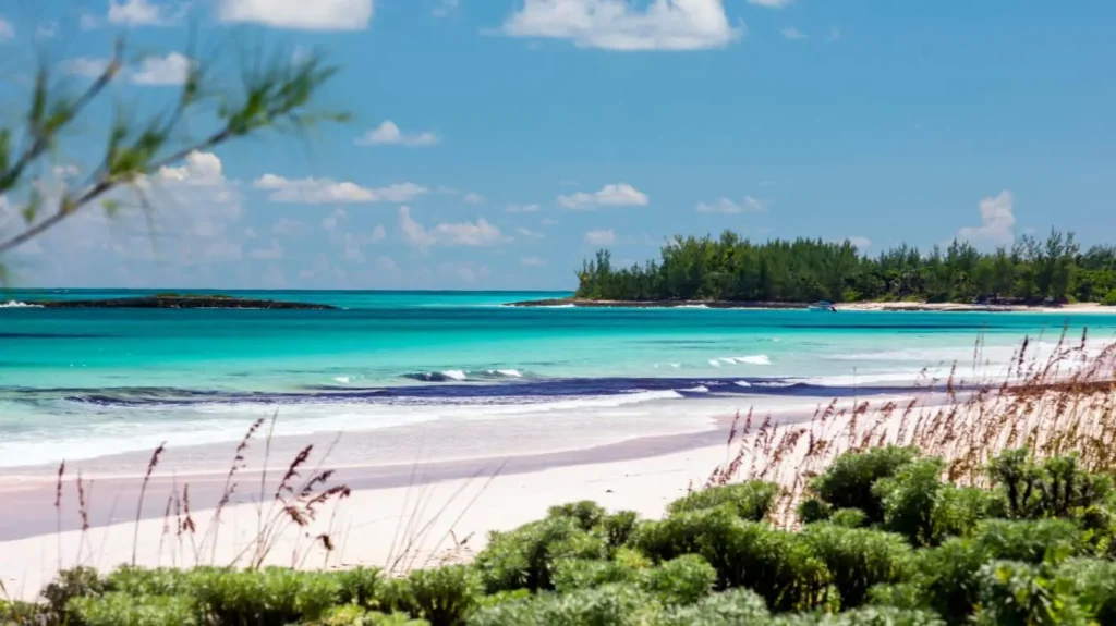 french leave beach eleuthera french leave beach eleuthera