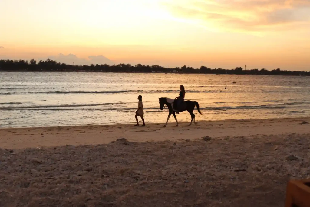 gili meno horse riding