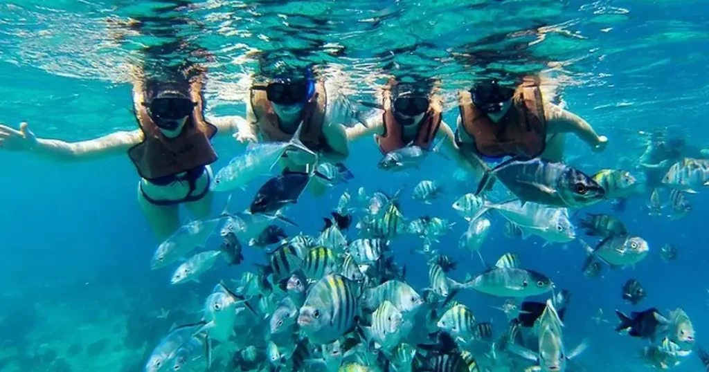 half moon cay diving