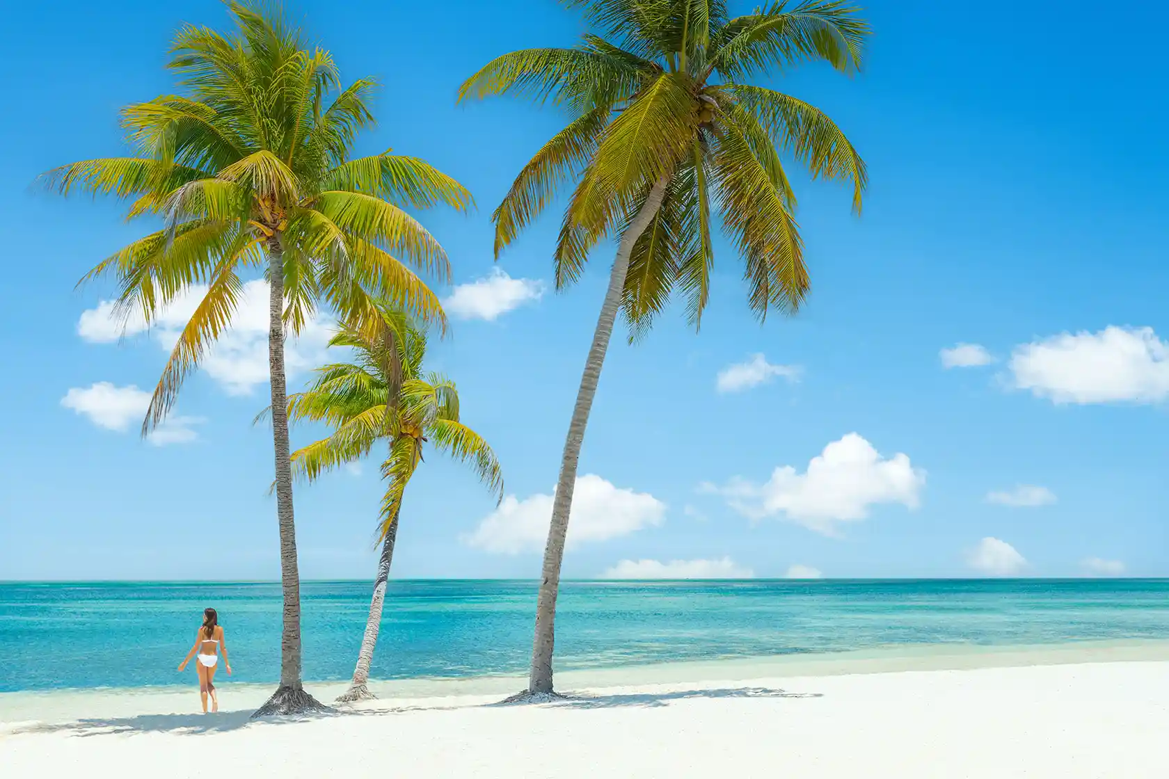 Bahamas Island Simulator