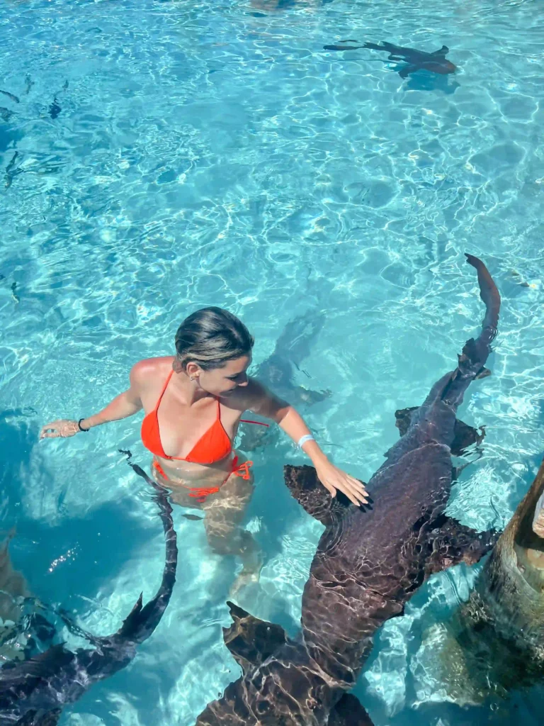 nurse sharks bahamas 2