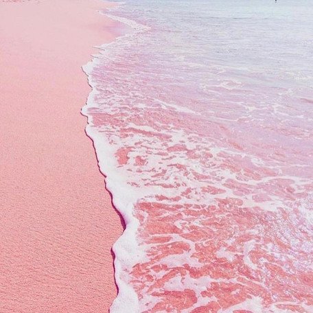 pink sand beach eleuthera pink sand beach eleuthera