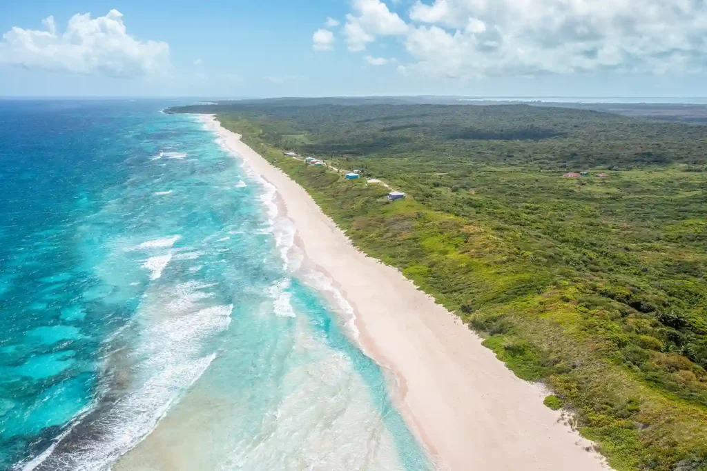 pink sand beaches cat island