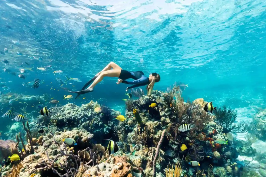 rum cay diving 1