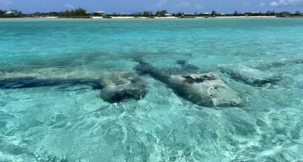 sand dollar cottage plane wreck