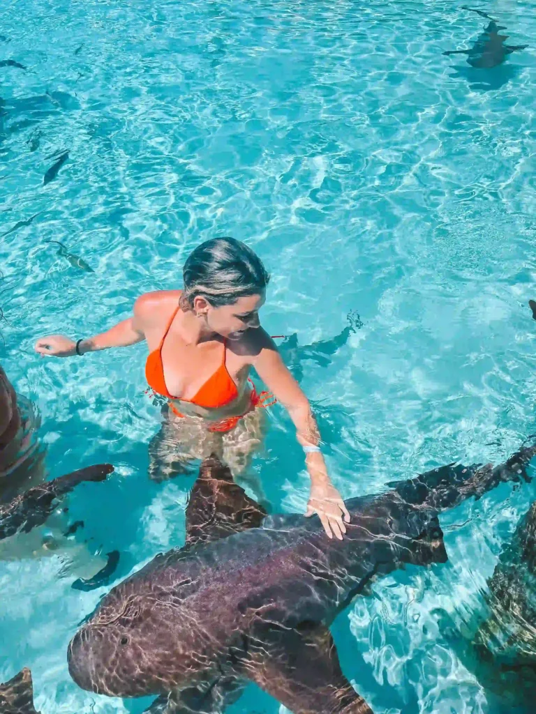 travel seeker abroad in bahamas 2